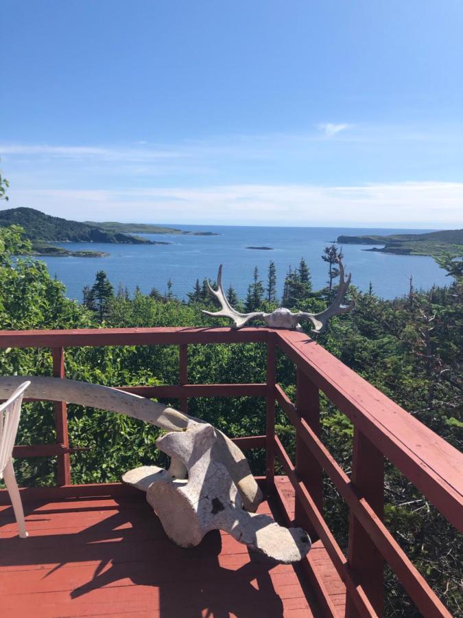 Valhalla Near L'Anse Aux Meadows Εξωτερικό φωτογραφία