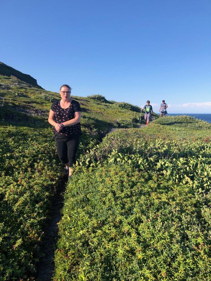 Valhalla Near L'Anse Aux Meadows Εξωτερικό φωτογραφία